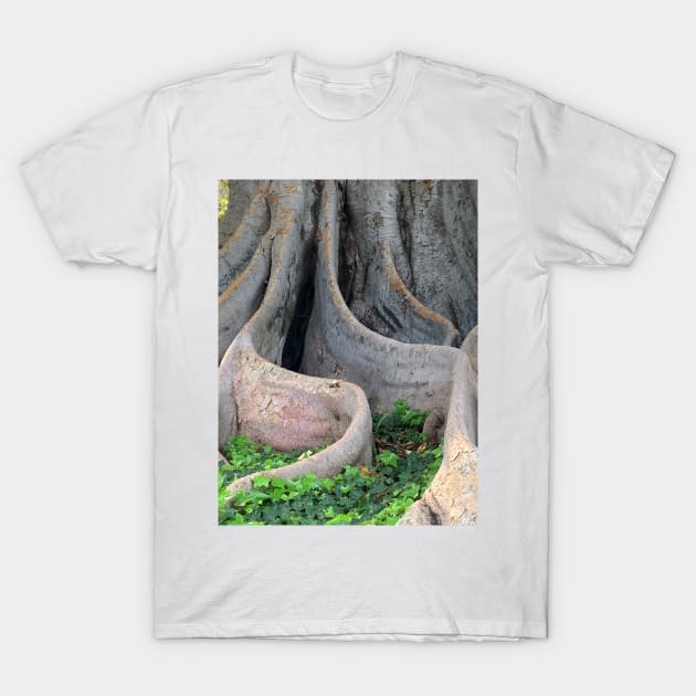 Roots T-Shirt by PhotoT